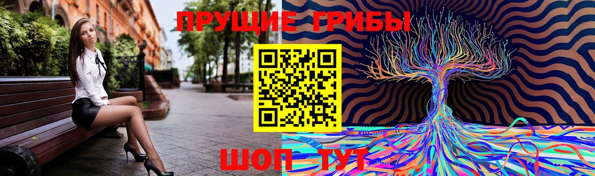 Псилоцибиновые грибы мицелий Архангельск