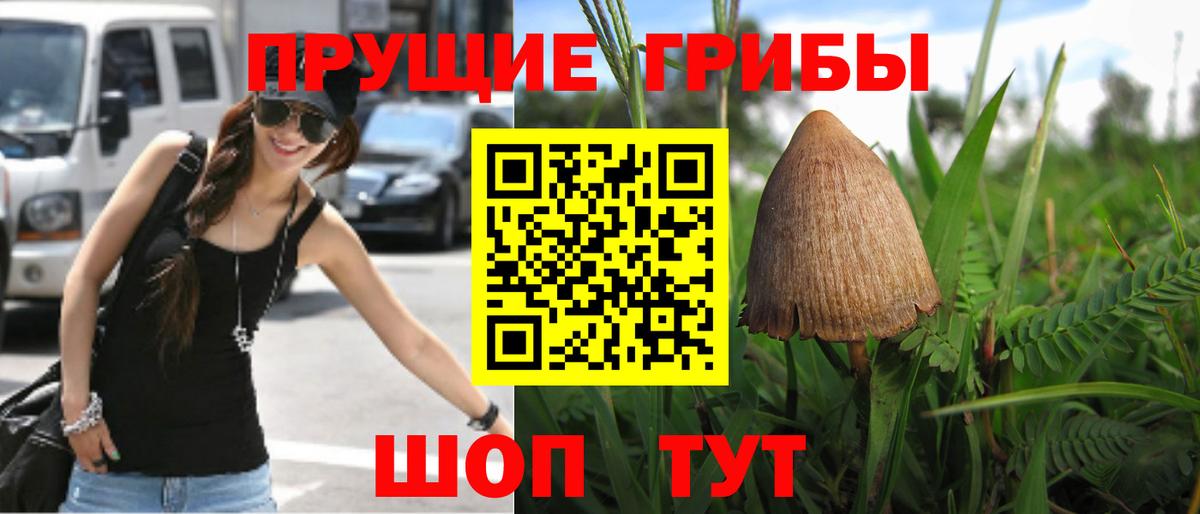 Псилоцибиновые грибы Magic Shrooms Архангельск