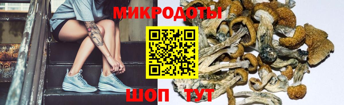 Галлюциногенные грибы Magic Shrooms  Псилоцибиновые грибы Magic Shrooms  наркошоп  Архангельск 