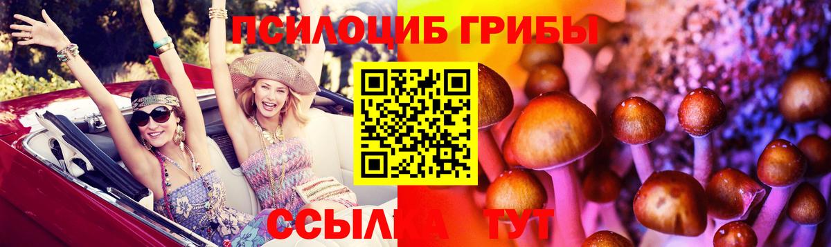 Архангельск  Галлюциногенные грибы Psilocybine cubensis  Вход с VPN 