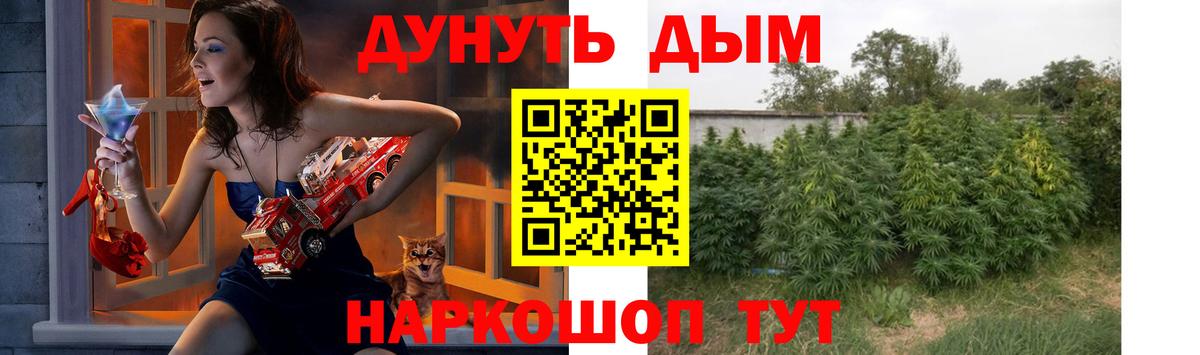 Каннабис гибрид  Канабис конопля  Вход с VPN  Архангельск  Каннабис Bruce Banner 