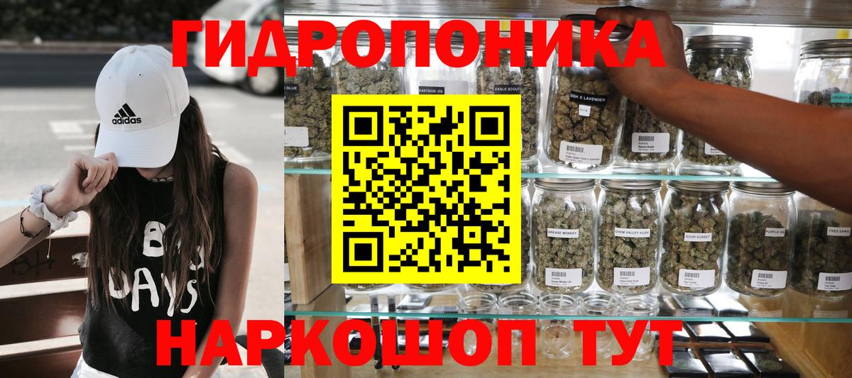 Шишки марихуана сатива Архангельск